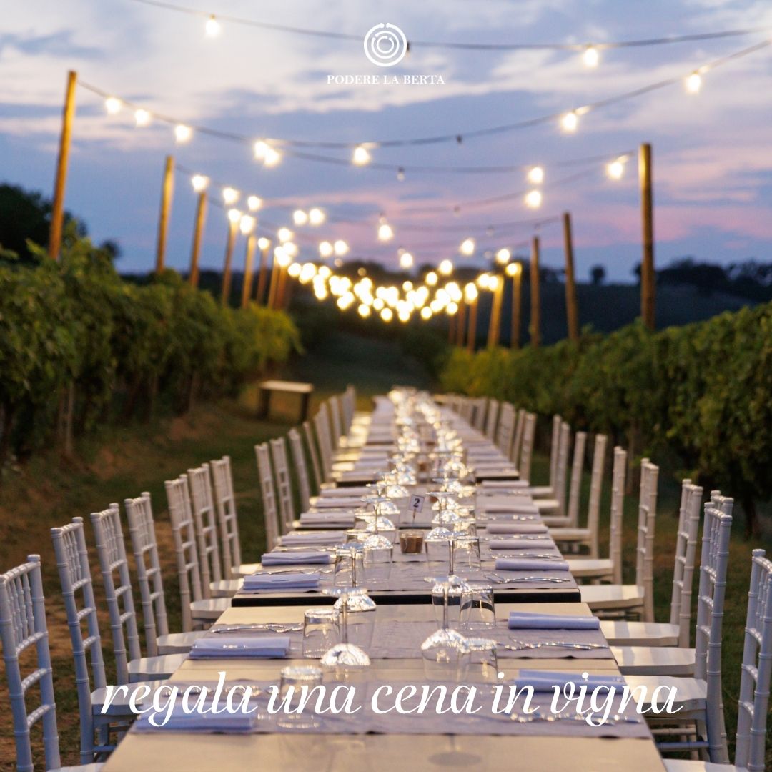 Cena in vigna - regalo