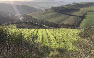Si parla di NOI sull’Espresso!
