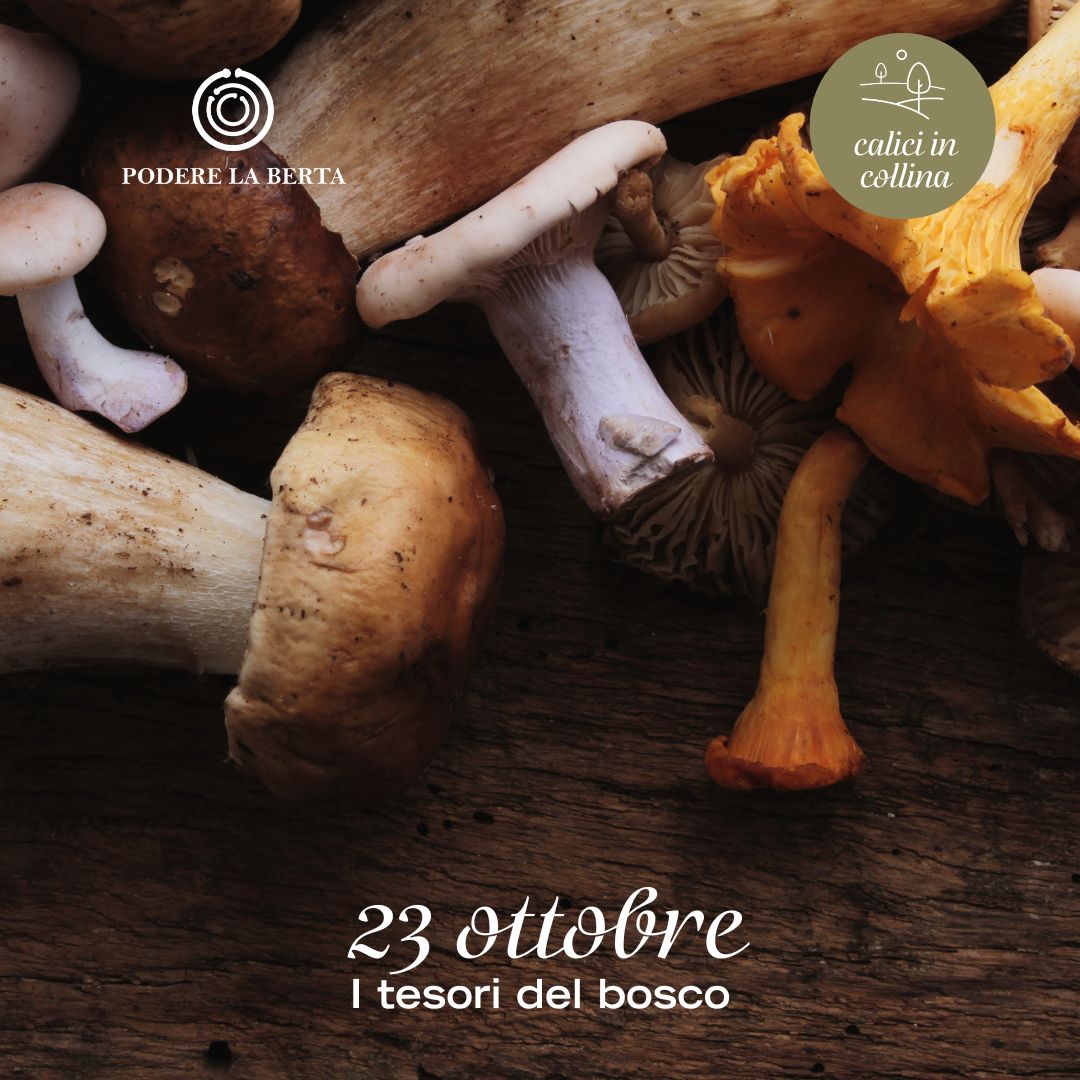 Calici in Collina - 23 ottobre 2025