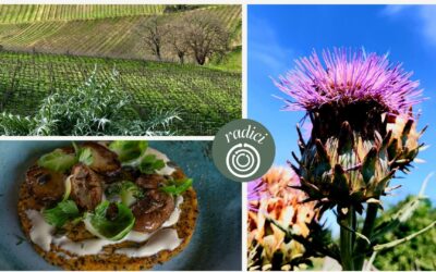 Radici: dove tutto ebbe inizio