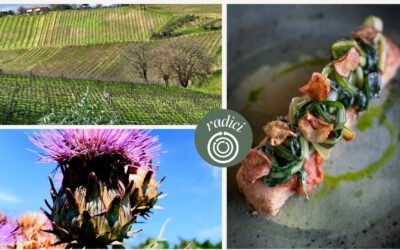 Radici: dove tutto ha inizio