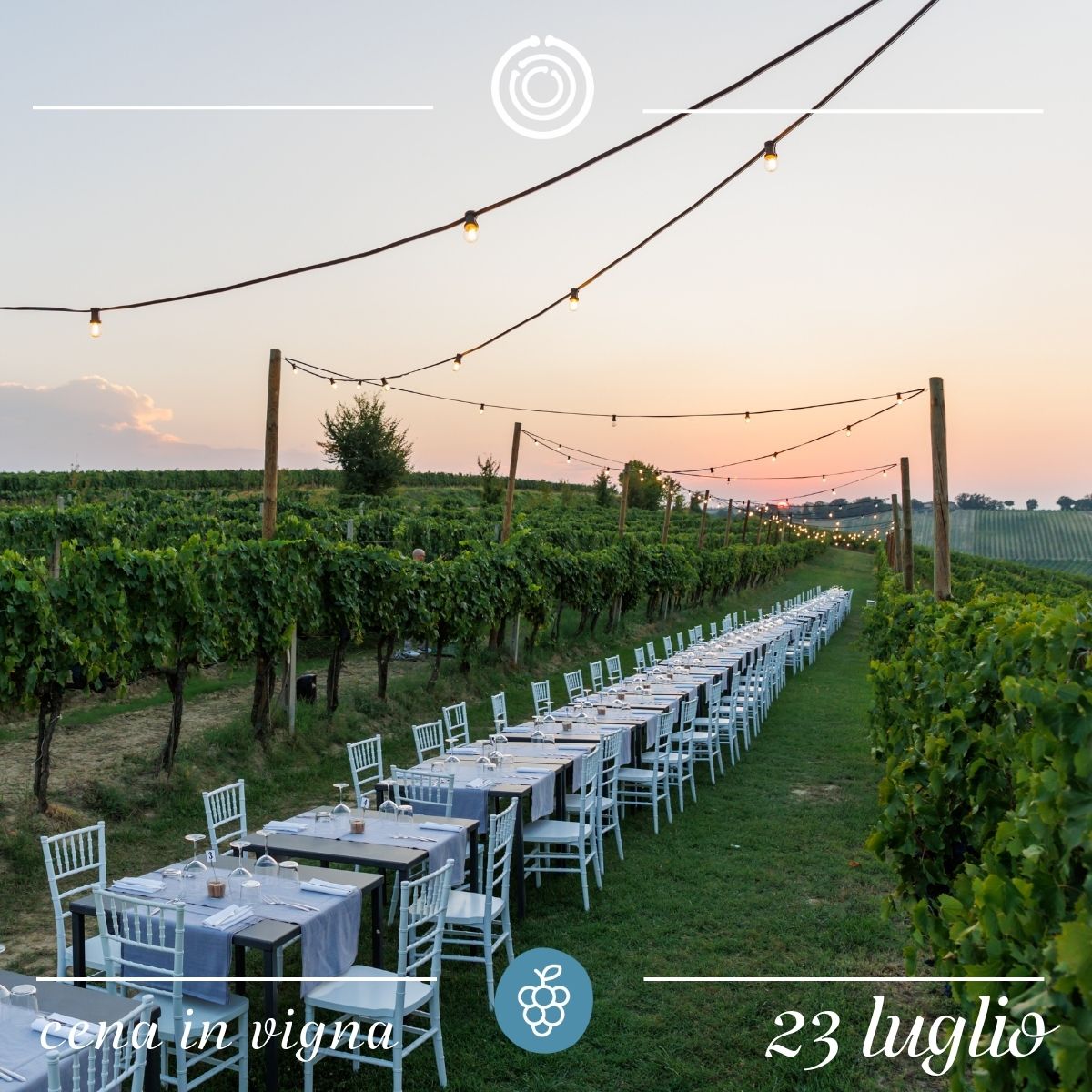 Cena in vigna - 23 luglio 2026