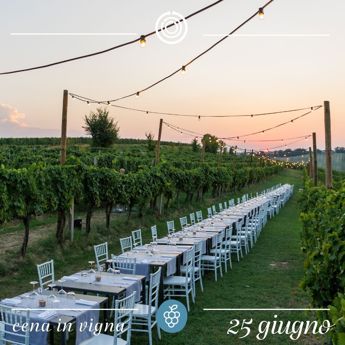 Cena in vigna - 25 giugno 2026