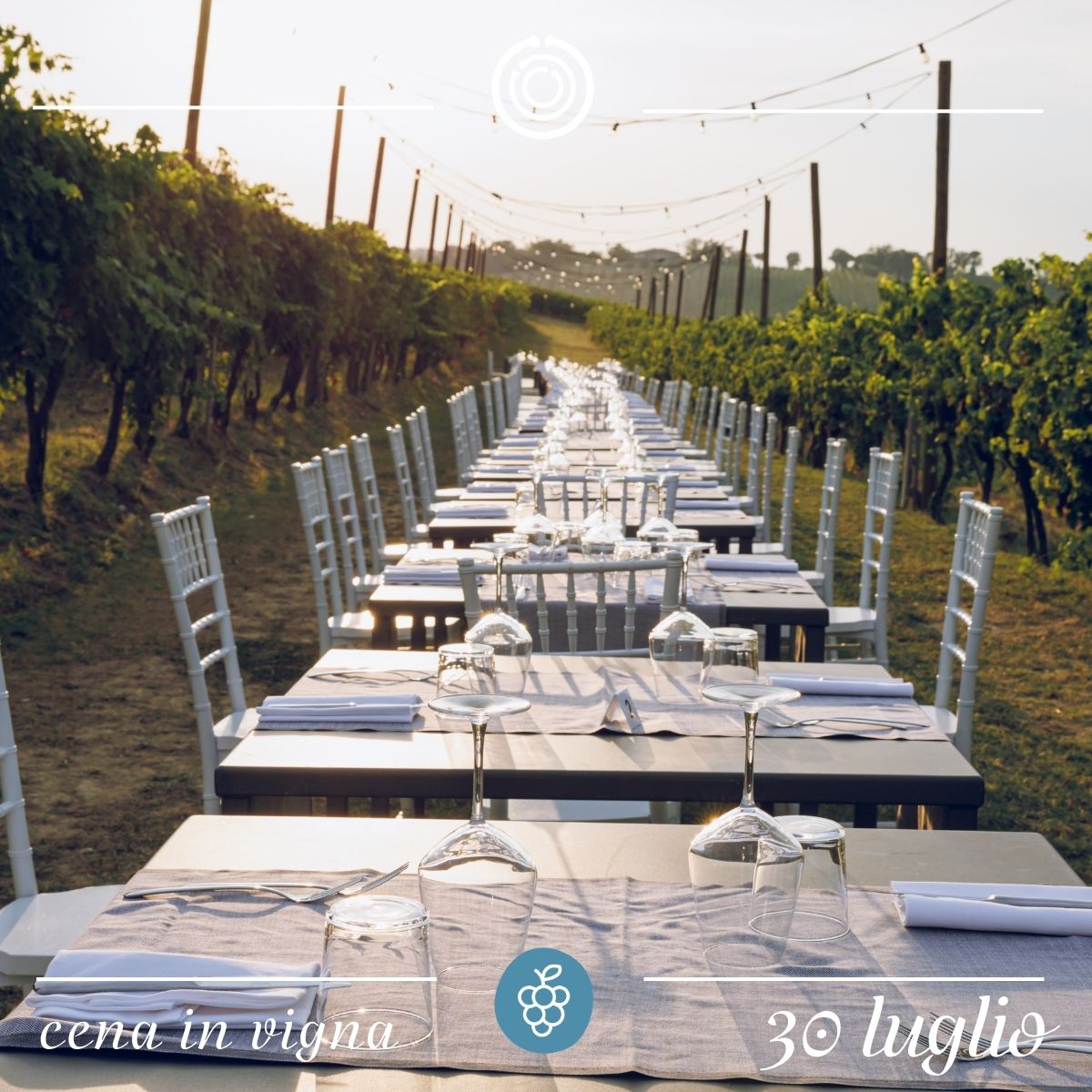 Cena in vigna - 30 luglio 2026